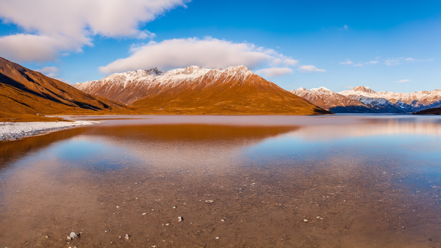 两个人的视频免费观看手机版