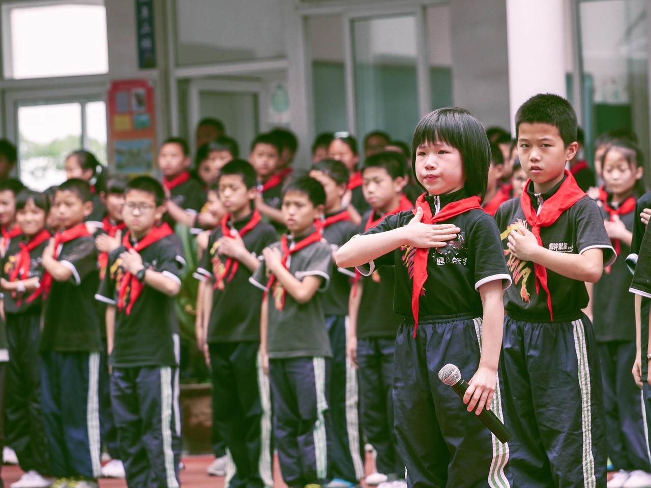 自考小学教育专科辅导，助力你的教育梦想